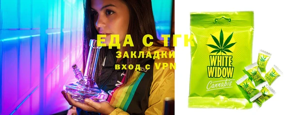 шишки Абаза
