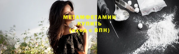 шишки Абаза