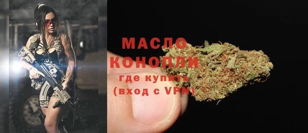 шишки Абаза