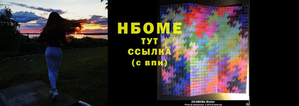шишки Абаза
