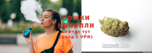 шишки Абаза