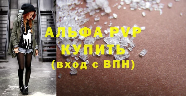 шишки Абаза