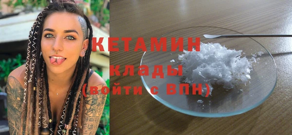 шишки Абаза