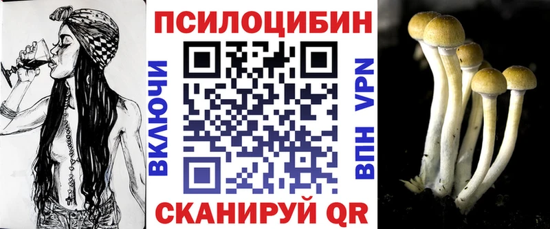 Галлюциногенные грибы GOLDEN TEACHER  купить наркотик  Альметьевск 